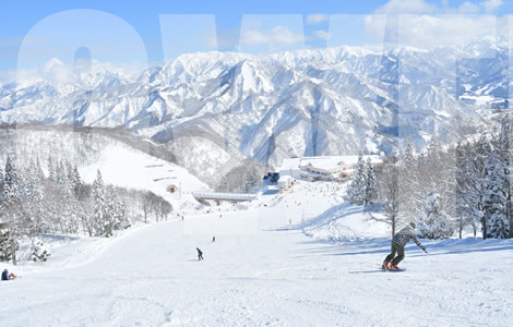 越後湯澤 Gala滑雪場